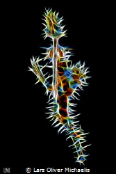 ghostpipefish
fractal filter technique by Lars Oliver Michaelis 